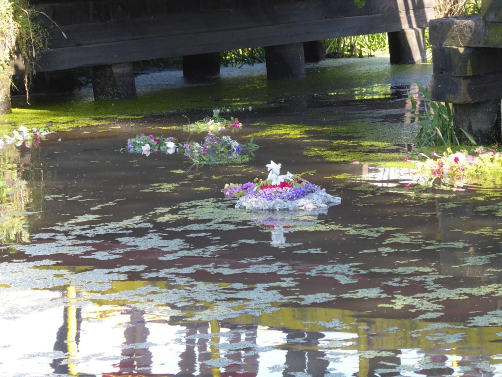 Noc Świętojańska 2019