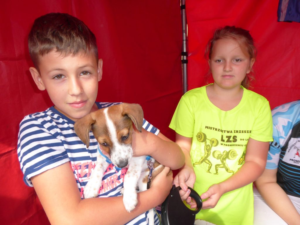 XIII Piknik Organizacji Pozarządowych