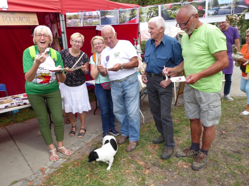XIII Piknik Organizacji Pozarządowych
