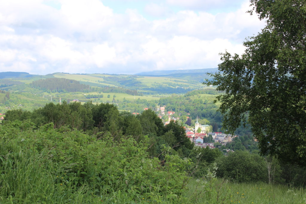 Tydzień w Dusznikach-Zdroju