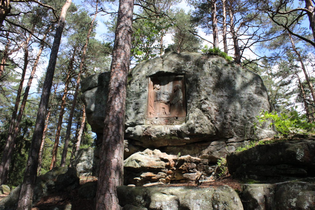 Tydzień w Dusznikach-Zdroju