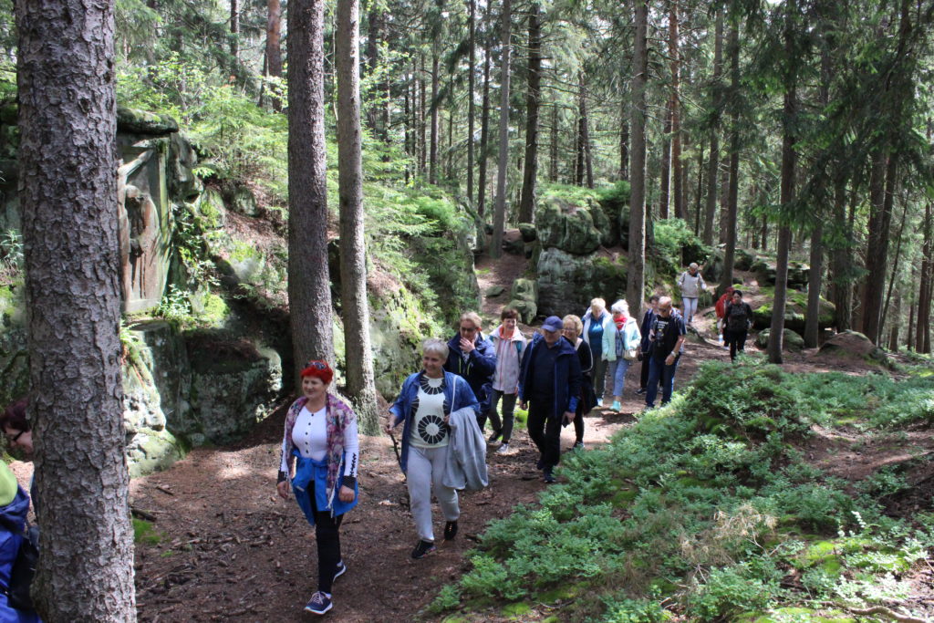 Tydzień w Dusznikach-Zdroju