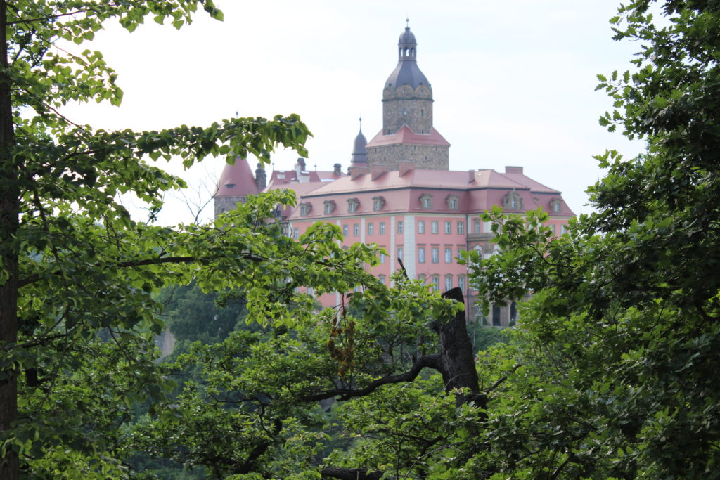 Tydzień w Dusznikach-Zdroju