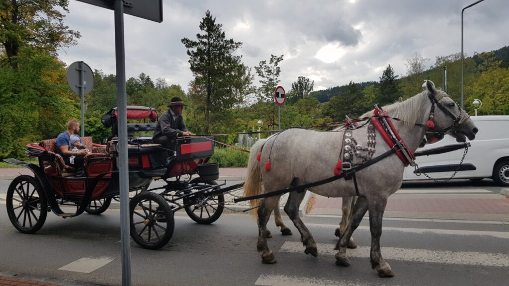 Wyjazd integracyjny do Krynicy-Zdroju